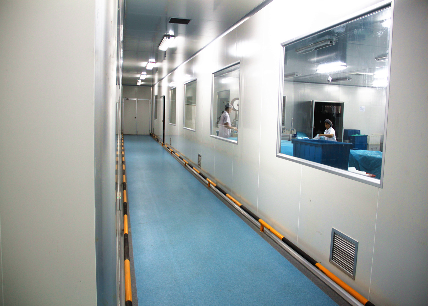 फेस मास्क कार्यशाला