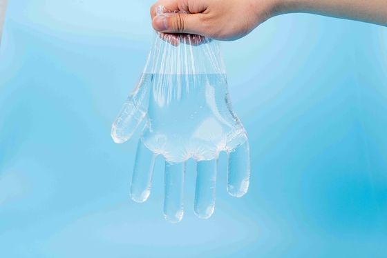 Food-Contact Directly Disposable Use PE Gloves Waterproof Free Size Plastic Gloves
