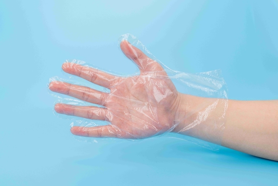 Food-Contact Directly Disposable Use PE Gloves Waterproof Free Size Plastic Gloves